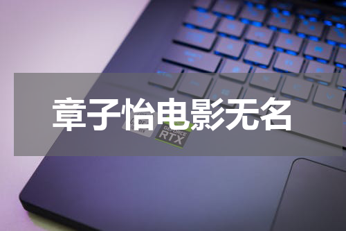 章子怡电影无名