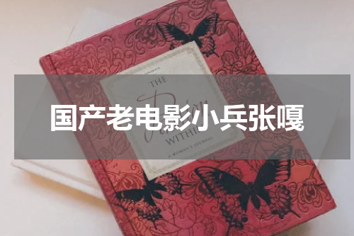 国产老电影小兵张嘎
