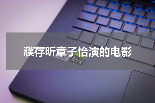 濮存昕章子怡演的电影