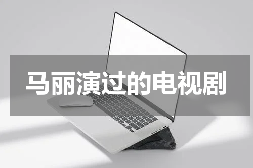 马丽演过的电视剧