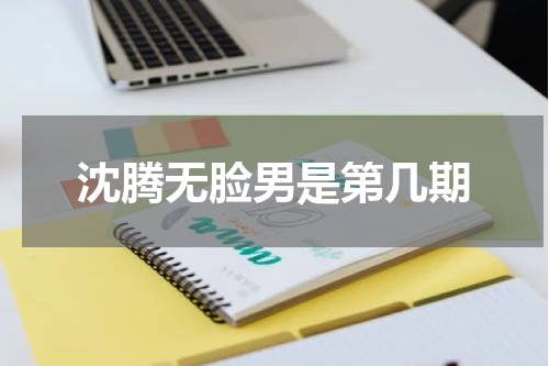 沈腾无脸男是第几期