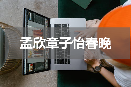 孟欣章子怡春晚