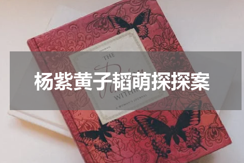 杨紫黄子韬萌探探案