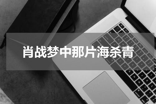 肖战梦中那片海杀青
