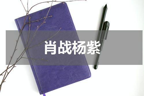 肖战杨紫