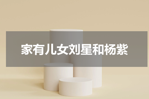 家有儿女刘星和杨紫
