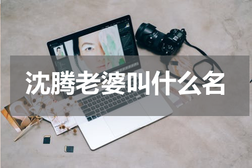 沈腾老婆叫什么名