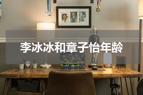 李冰冰和章子怡年龄