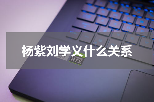 杨紫刘学义什么关系