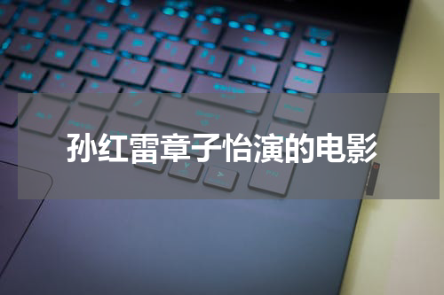 孙红雷章子怡演的电影
