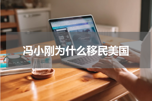 冯小刚为什么移民美国