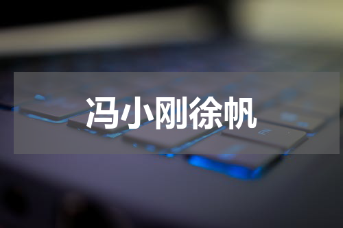冯小刚徐帆