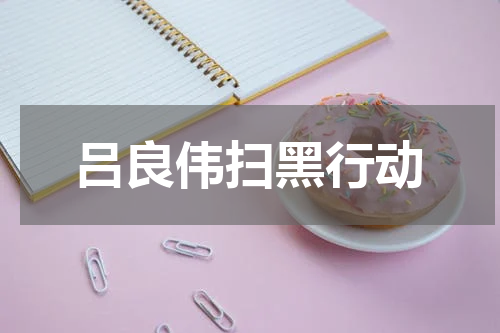吕良伟扫黑行动