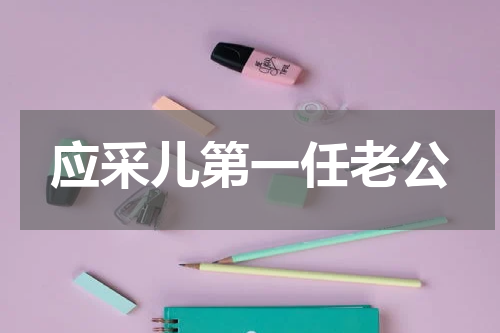 应采儿第一任老公