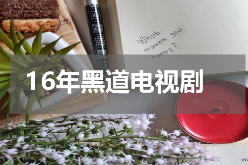16年黑道电视剧