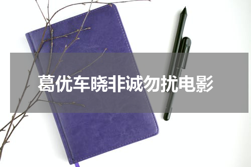葛优车晓非诚勿扰电影