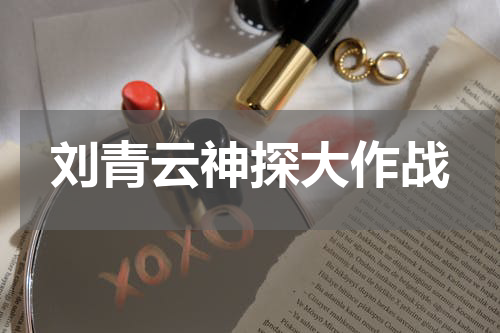 刘青云神探大作战