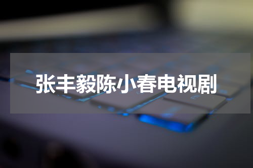 张丰毅陈小春电视剧