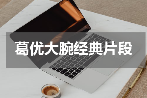葛优大腕经典片段