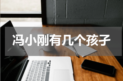 冯小刚有几个孩孑