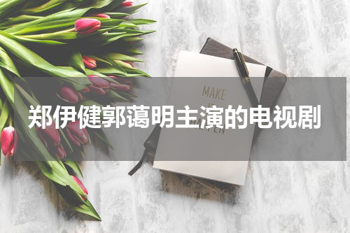 郑伊健郭蔼明主演的电视剧