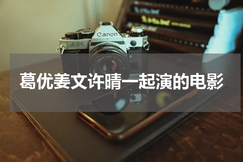 葛优姜文许晴一起演的电影