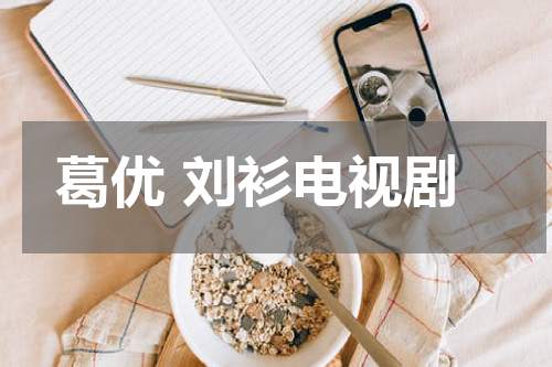 葛优 刘衫电视剧