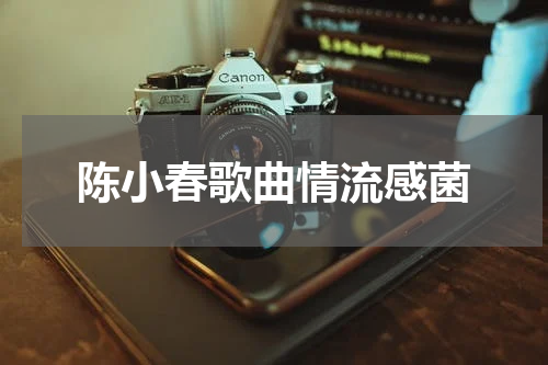 陈小春歌曲情流感菌