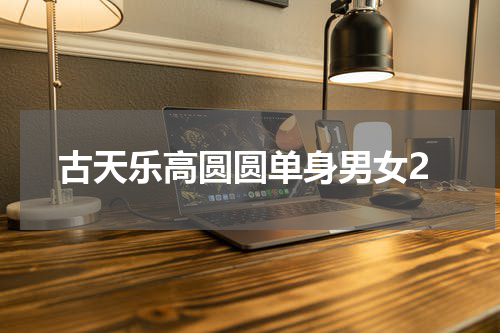 古天乐高圆圆单身男女2