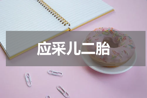应采儿二胎