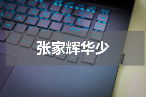 张家辉华少