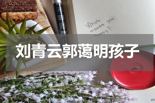 刘青云郭蔼明孩子