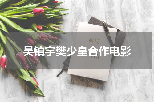 吴镇宇樊少皇合作电影