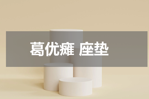 葛优瘫 座垫