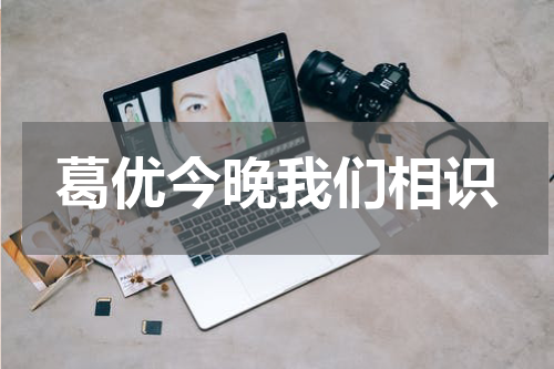 葛优今晚我们相识