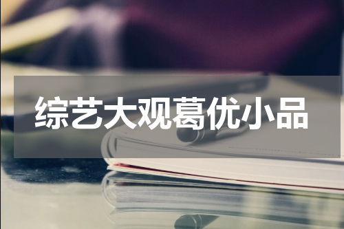 综艺大观葛优小品