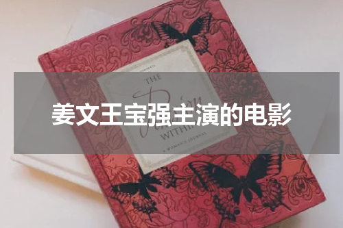 姜文王宝强主演的电影