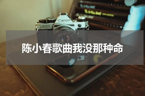 陈小春歌曲我没那种命