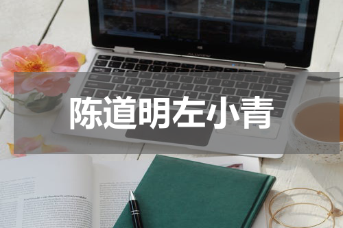 陈道明左小青