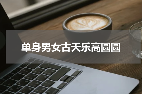 单身男女古天乐高圆圆