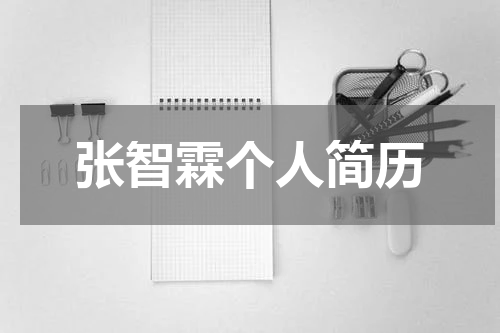 张智霖个人简历