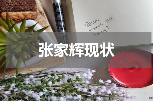 张家辉现状