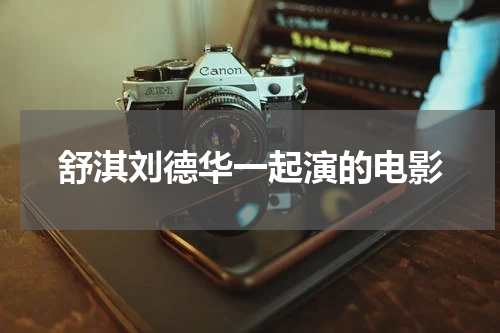 舒淇刘德华一起演的电影