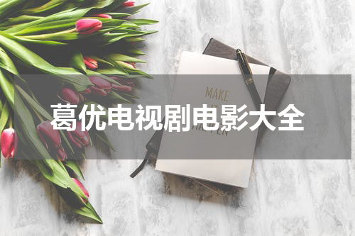 葛优电视剧电影大全