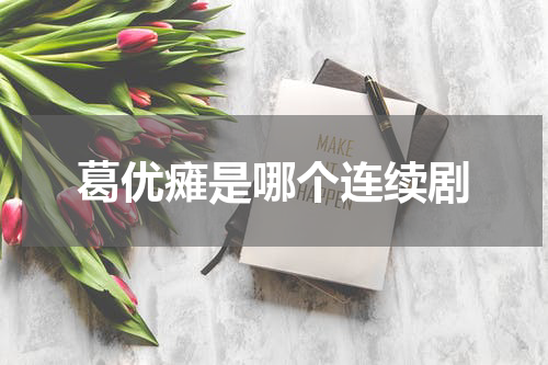 葛优瘫是哪个连续剧