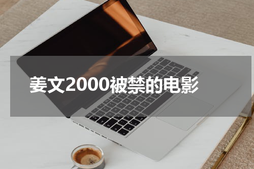 姜文2000被禁的电影