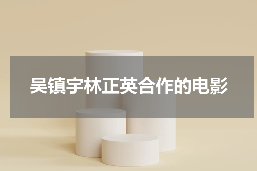 吴镇宇林正英合作的电影