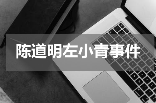 陈道明左小青事件