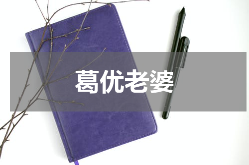 葛优老婆