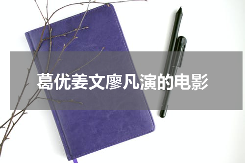 葛优姜文廖凡演的电影